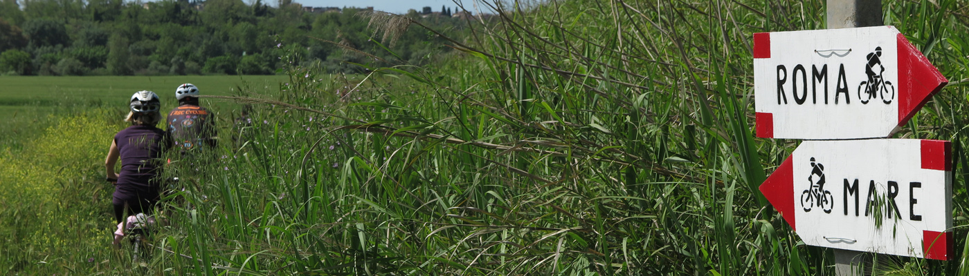 la Regina Ciclarum