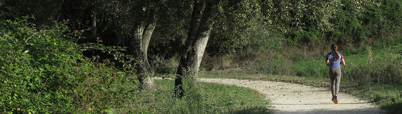 la Regina Ciclarum